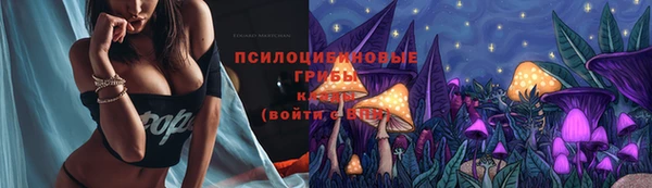 дмт Бородино