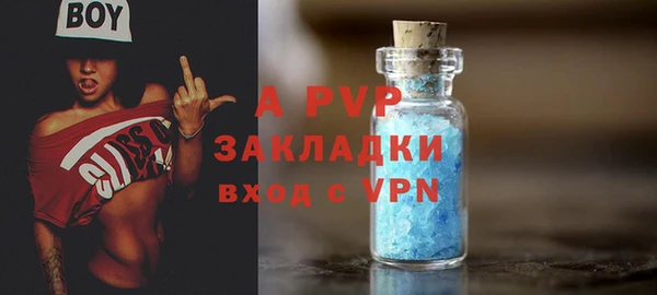 дмт Бородино