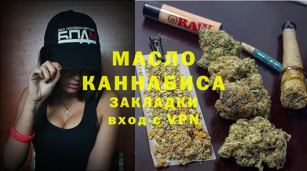 дмт Бородино