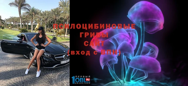 дмт Бородино