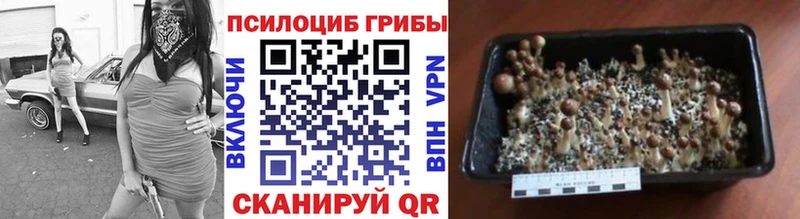 Псилоцибиновые грибы GOLDEN TEACHER  Волчанск 